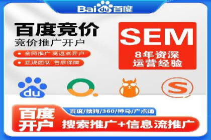 行业领先企业的SEM广告策略与效果分析